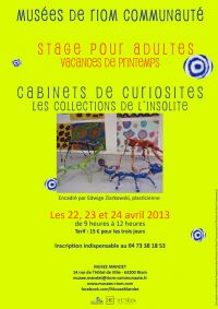 Stage adultes : Cabinets de curiosités. Les collections de l’insolite.. Du 22 au 24 avril 2013 à Riom. Puy-de-dome. 